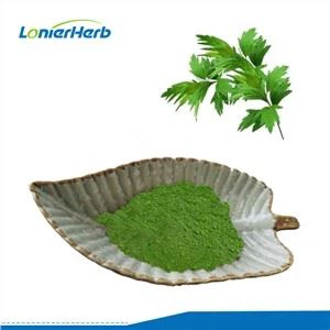 Wormwood Leaf Powder