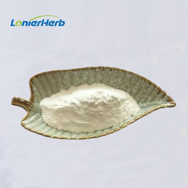 Andrographis Paniculata Extract Powder