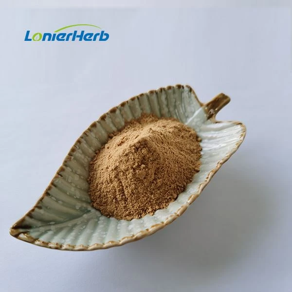 Barberry Root Extract