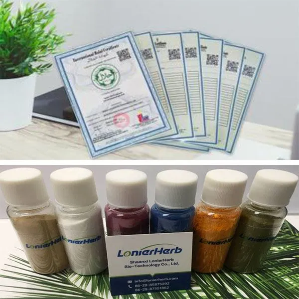 Gymnema Sylvestre Extract Powder