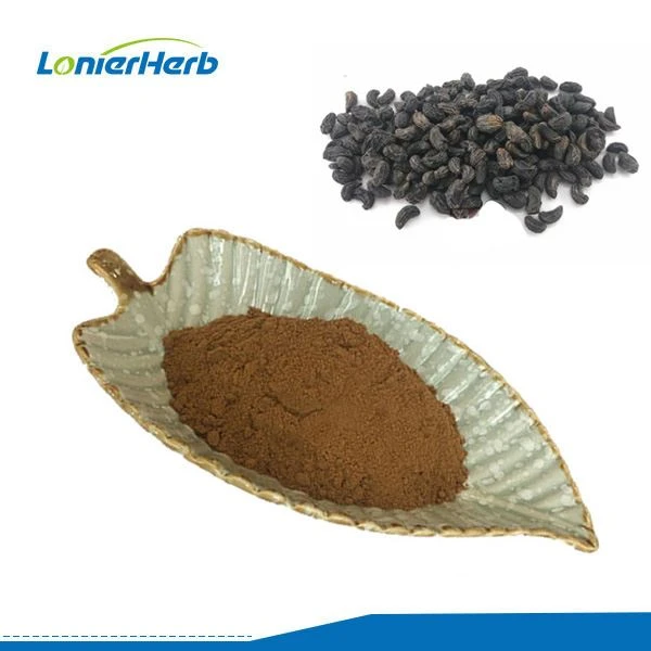 Ligustrum Lucidum Extract