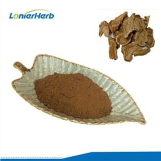 Aucklandia Root Extract