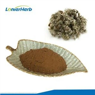 Capillary Wormwood Herb Extract