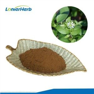 Chickweed Extract