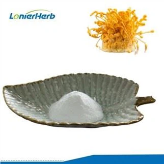 Cordycepin Powder