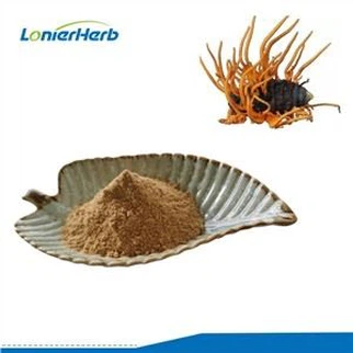 Cordyceps Militaris Extract Powder