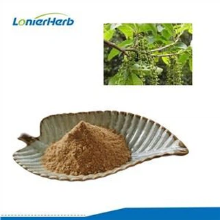 Cyclocarya Paliurus Extract