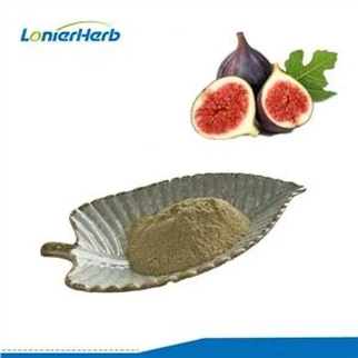 Fig Fruit Powder