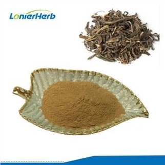 Folium Isatidis Extract