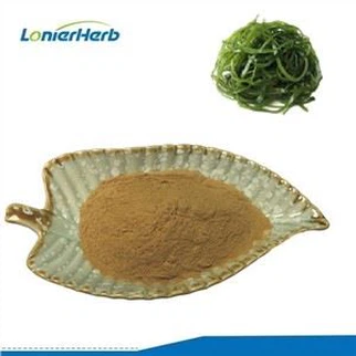Fucoxanthin Seaweed