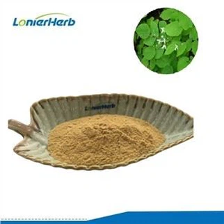 Icariin Powder