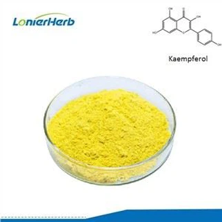 Kaempferol Powder