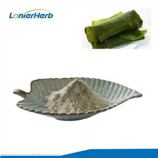 Laminaria Japonica Extract