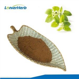 Lemon Balm Extract Powder