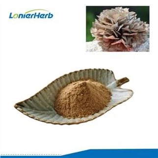 Maitake Mushroom Extract