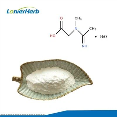 Micronized Creatine Monohydrate Powder