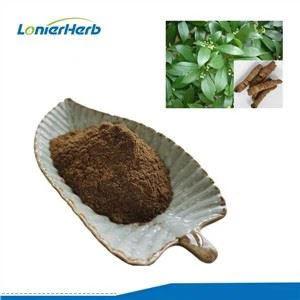 Morinda Officinalis Extract