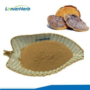 Phellinus Igniarius Extract