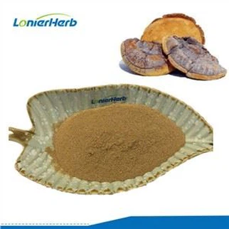 Phellinus Igniarius Extract