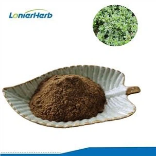 Purslane Herb Extract