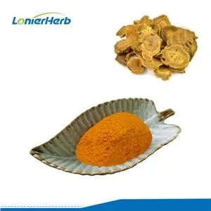 Rheum Palmatum Root Extract