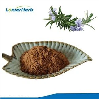 Rosmarinic Acid Powder