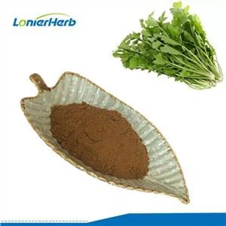 Shepherdspurse Herb Extract