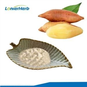 Yacon Root Powder