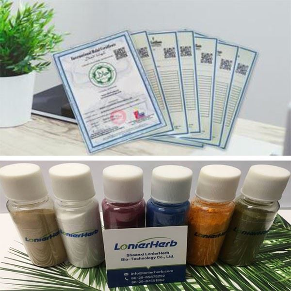 Terminalia Chebula Fruit Extract