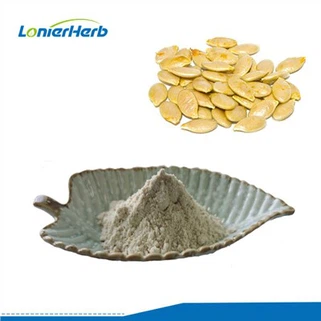 Best Pumpkin Seed Protein Powder