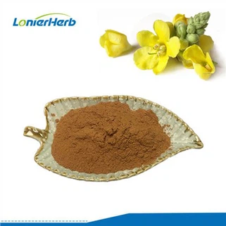Mullein Extract Powder
