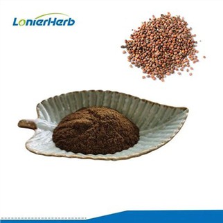 Radish Seed Extract