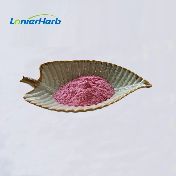 Acerola Cherry Extract Powder suppliers