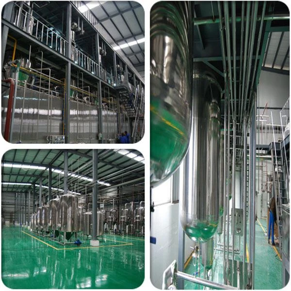 Bitter Melon Extract Powder high quality