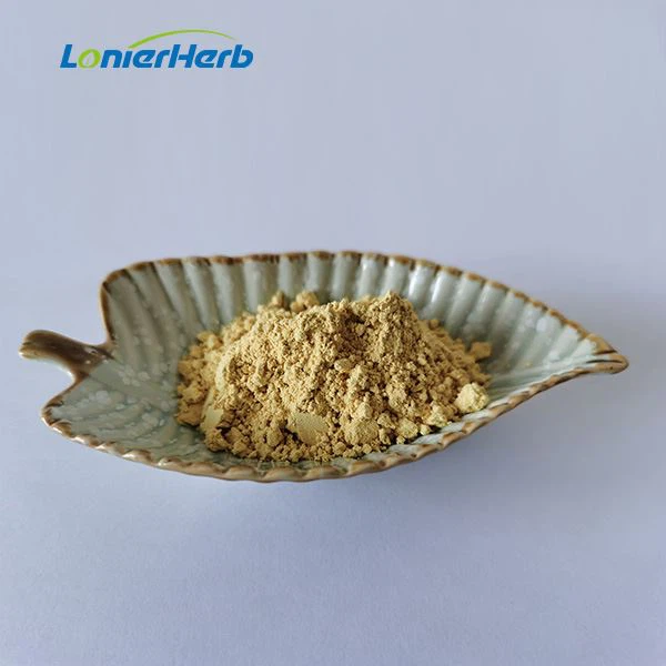 Ginseng Extract Powder factory