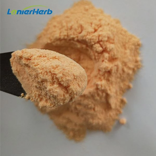 Papaya Juice Powder suppliers