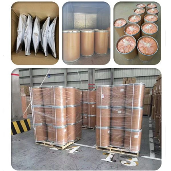 Papaya Juice Powder high quality