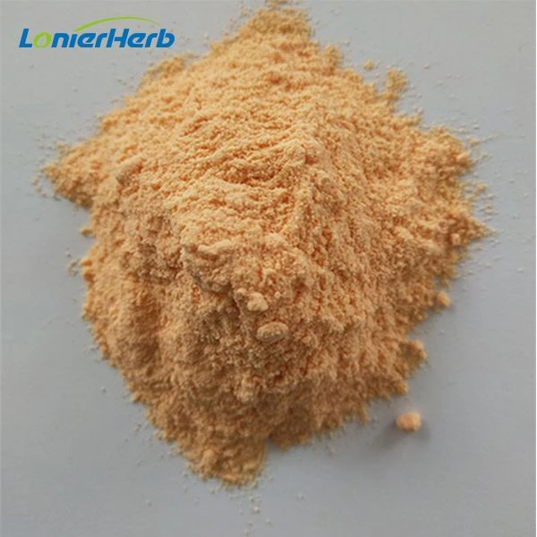 Papaya Juice Powder factory