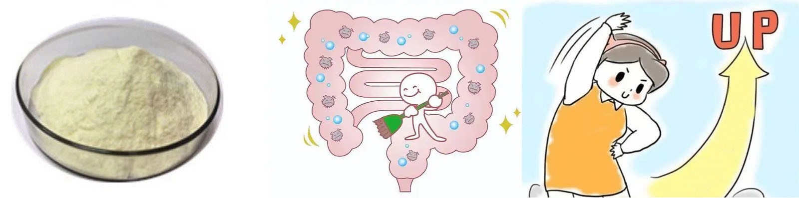 Lonierherb Soybean Polysaccharide Lonierherb Soybean Polysaccharide
