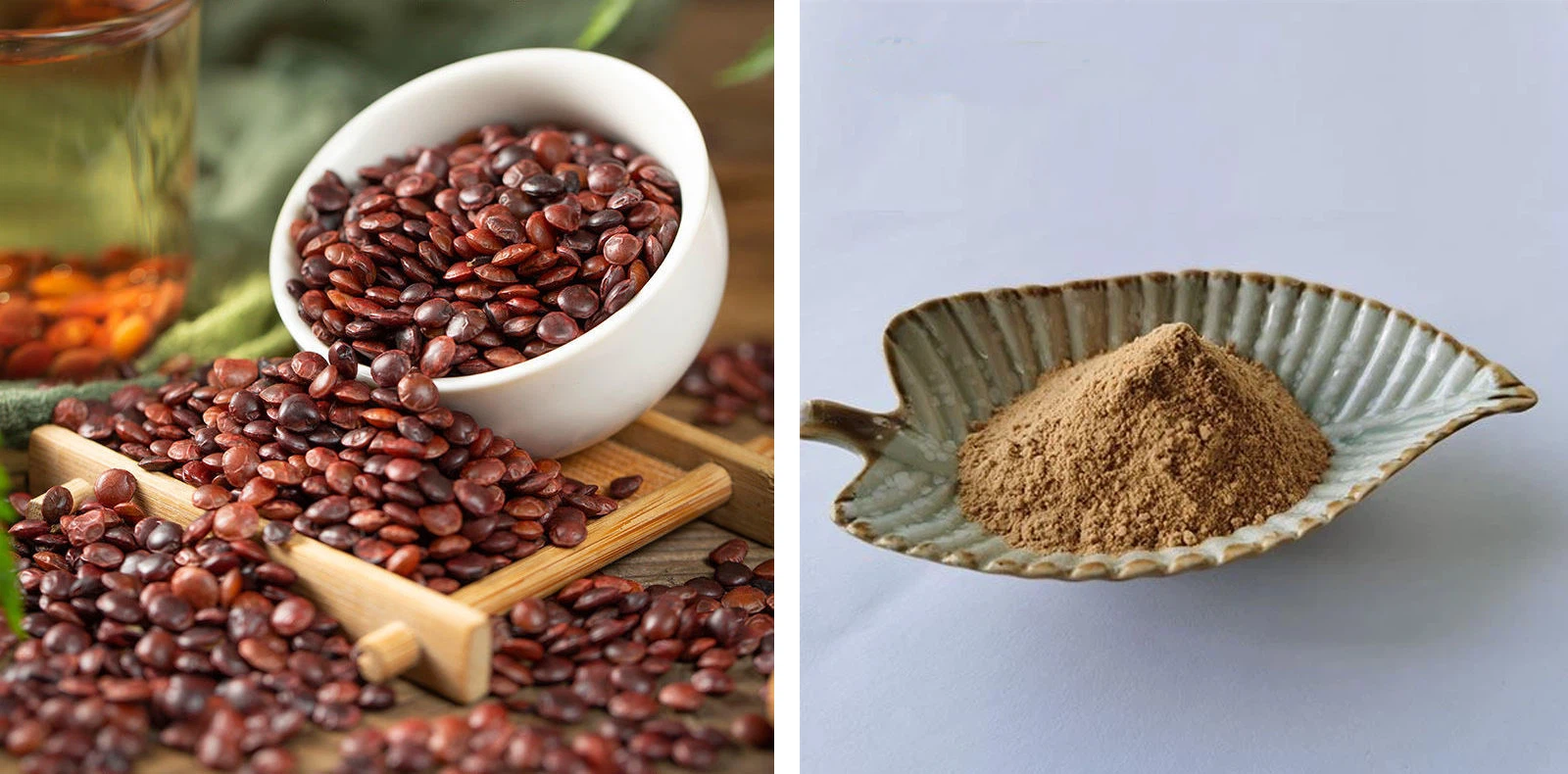 Jujube Seed Extract Jujube Seed Extract