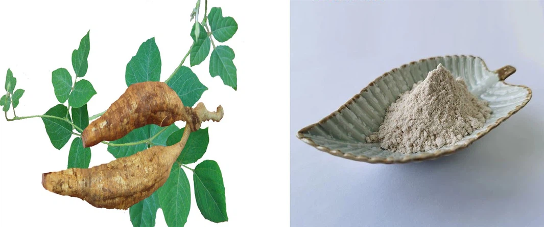 Puerarin powder Puerarin powder