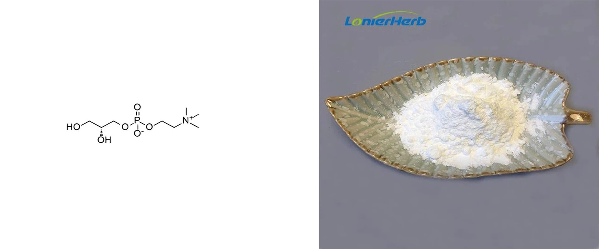 Alpha GPC Powder Alpha GPC Powder