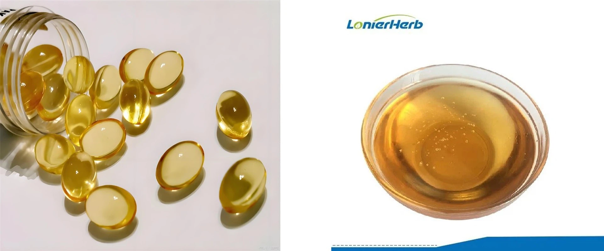 Vitamin E Oil D Alpha Tocopherol Vitamin E Oil D Alpha Tocopherol