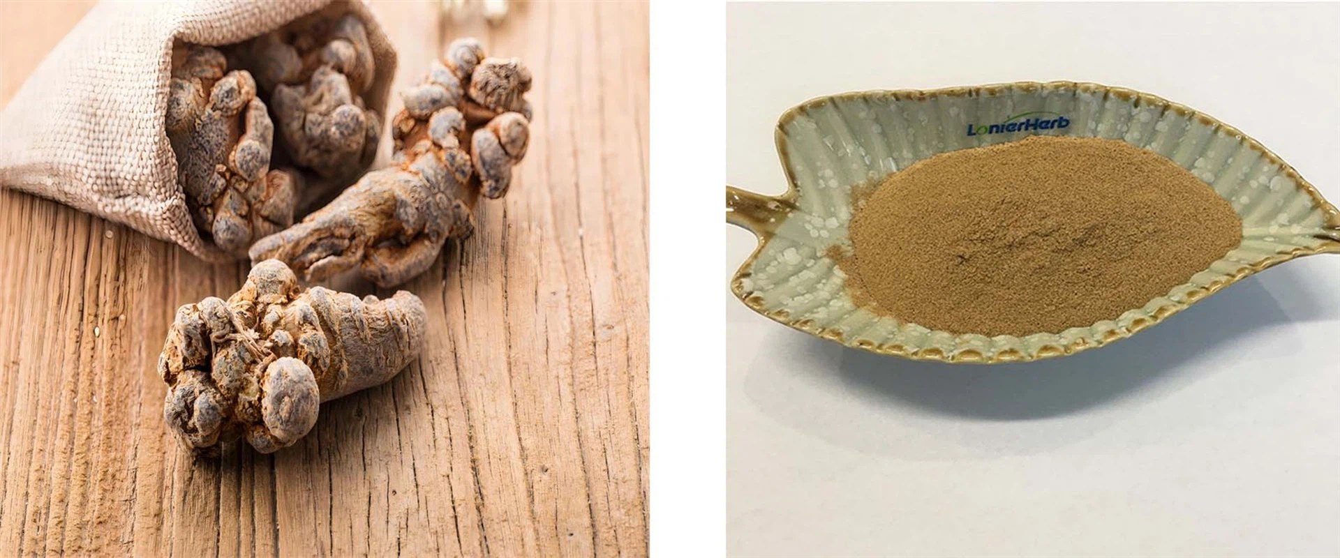 Panax Notoginseng Extract Panax Notoginseng Extract