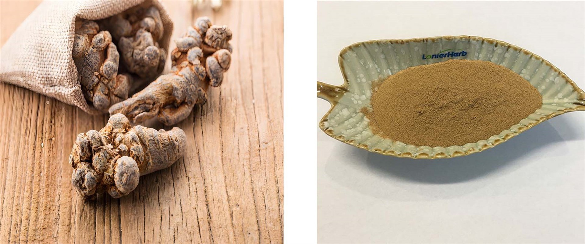 Panax Notoginseng Extract Panax Notoginseng Extract
