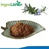 Where can I buy Rosemary Extract Powder?