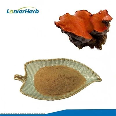 Antrodia Cinnamomea Extract