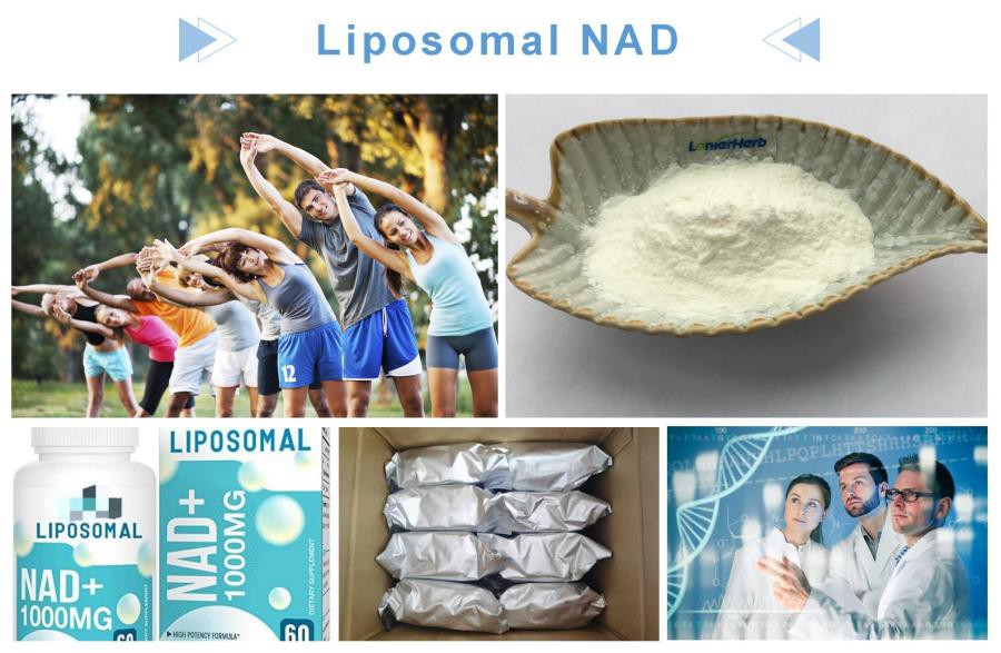 NAD Powder NAD Powder