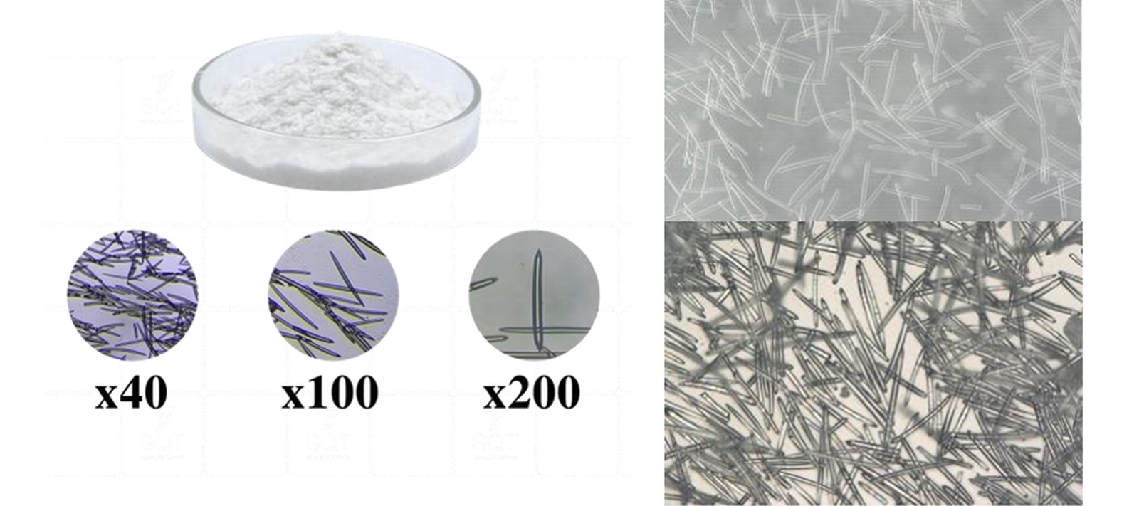 hydrolyzed sponge hydrolyzed sponge