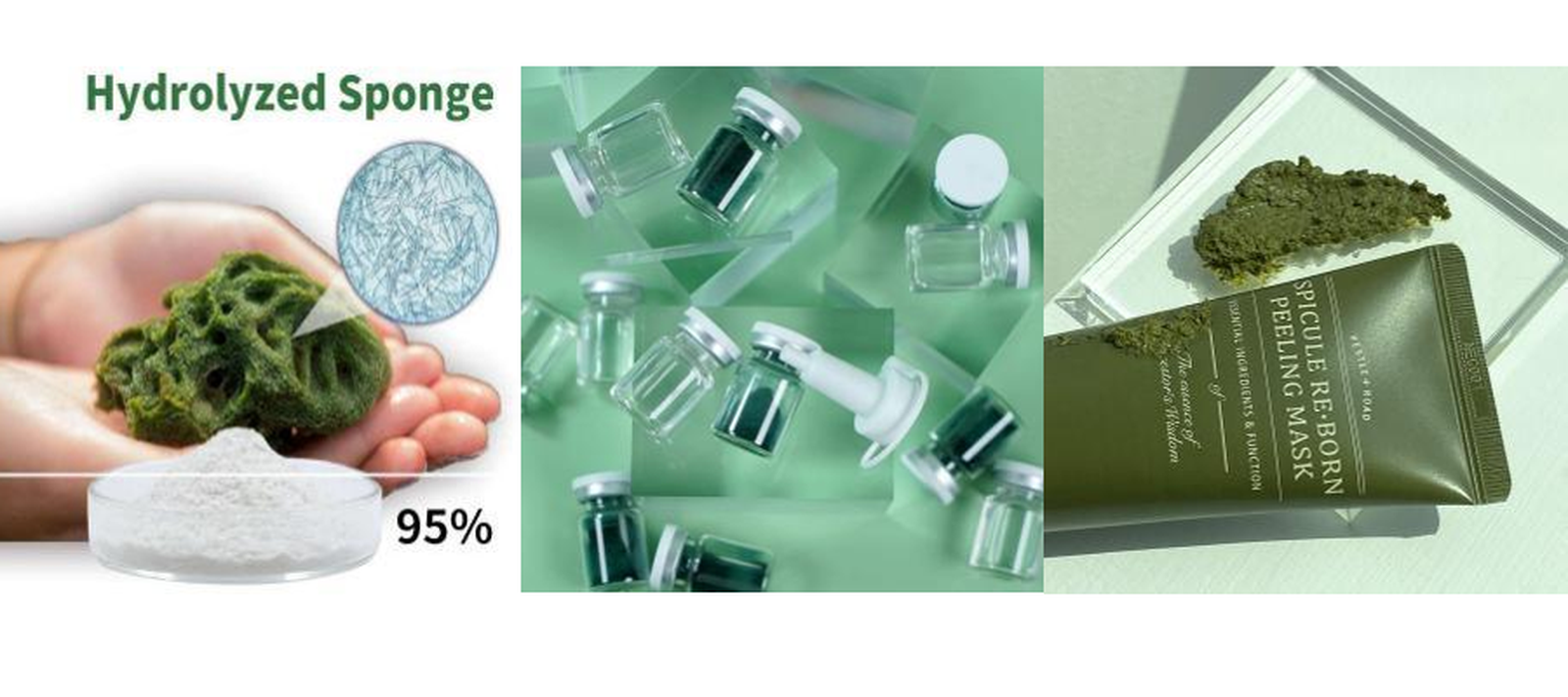 hydrolyzed sponge 2 hydrolyzed sponge 2